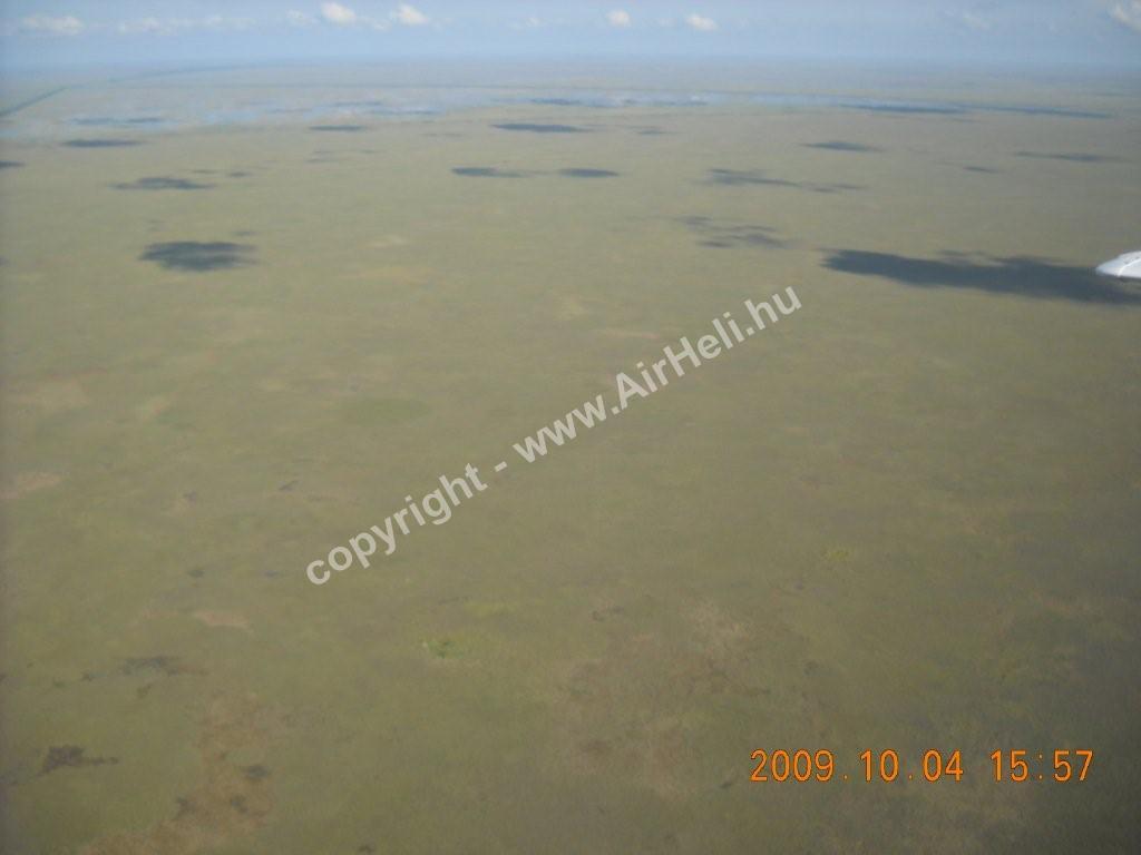 2009. október - Florida: Everglades